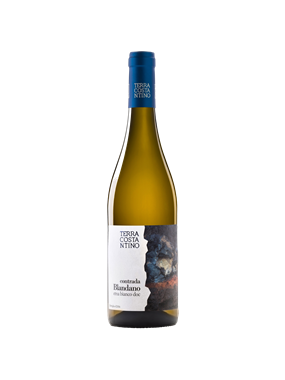 Contrada Blandano Bianco