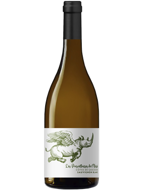 Les Parcellaires de l'Herre Sauvignon Blanc