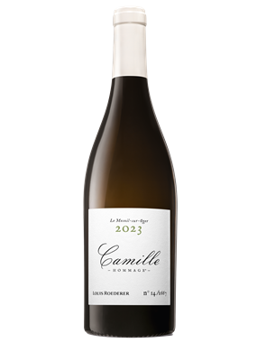 Camille Hommage Volibarts