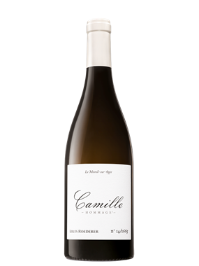 Camille Hommage Volibarts