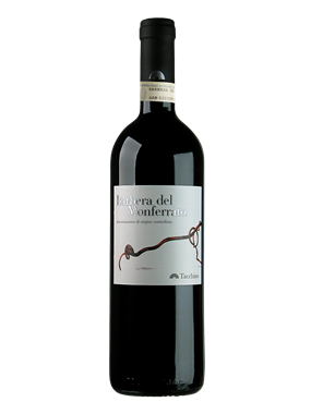 Tralci Barbera del Monferrato