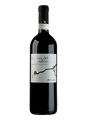 Tralci Barbera del Monferrato